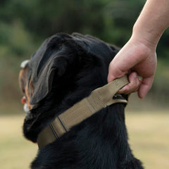 TSPRO tactical dog collar handle close-up highlighting padded grip for easy handling during training.
