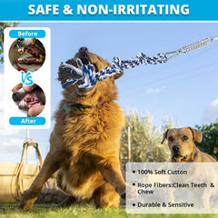 TT TRSMIMA dog tug action outdoors highlights engaging fetch and muscle-building play.