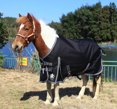 T TEKE Deluxe turnout blanket quick-clip closure demonstrates easy on/off and secure fit.