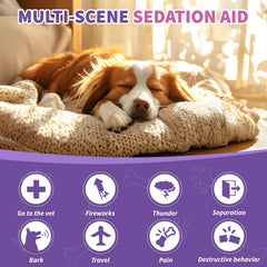 TTIXRL Calming dog chews with chicken flavor for healthy routine