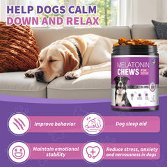 TTIXRL Melatonin for Dogs chews close-up with label for nighttime sleep