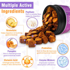 TTIXRL probiotics-enzyme-complex dogs enhances nutrient absorption and gut health