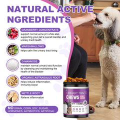 TTLXBL Packaging Front Dog UTI communicates a natural, vet-friendly urinary support option.