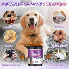 TTLXRL Dog Allergy Chews bottle highlights grab-and-go allergy relief for dogs