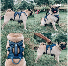 Tuff Pupper ballistic nylon straps offer rugged durability