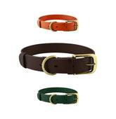 Tuff Pupper Classic dog collar with brass buckle for long-lasting durability.