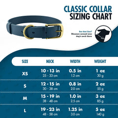 Tuff Pupper Classic waterproof collar in rain showing odor-free performance.