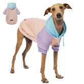 Tuff Pupper dog hoodie with warm lining for cozy warmth on walks.