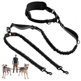 Tuff Pupper heavy-duty bungee leash waist belt for hands-free control on powerful dogs.