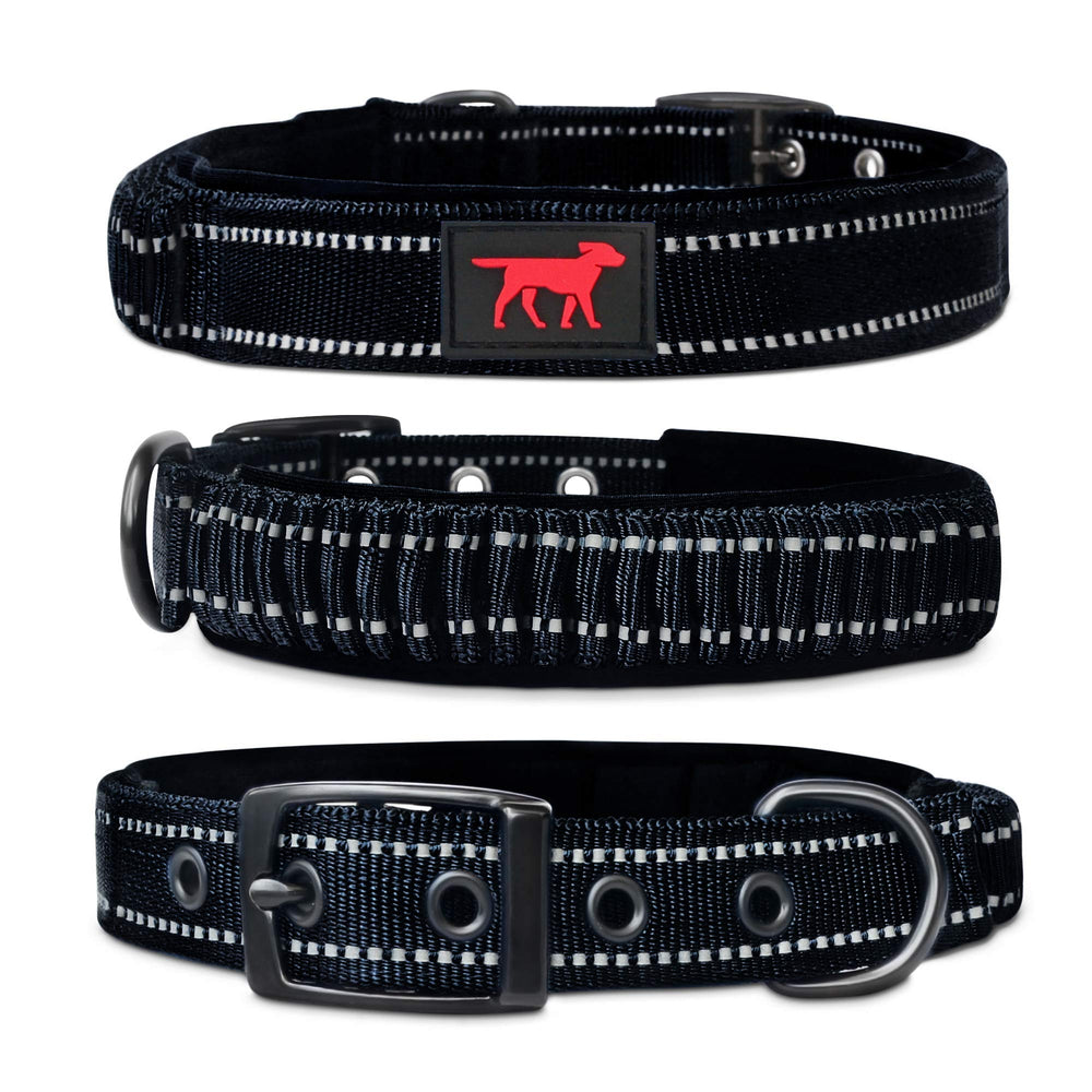 Tuff Pupper heavy-duty collar with handle and buckle offering secure control during walks.