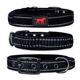 Tuff Pupper heavy-duty collar with handle and buckle offering secure control during walks.