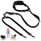 Tuff Pupper heavy-duty hands-free leash setup for secure hands-free dog walking