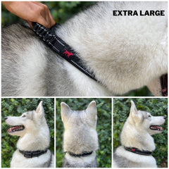 Tuff Pupper neoprene padding interior keeps comfort during long daily walks.
