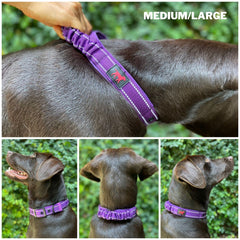 Tuff Pupper neoprene padding inside—comfortable wear during vigorous activity