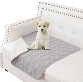 Tuffeel dog blanket on sofa protects furniture from pet hair and spills.