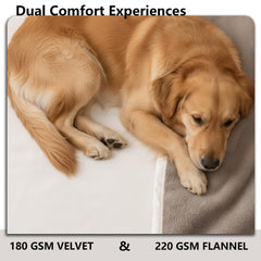 Tuffeel Blanket flannel-back provides warm, cozy feel for pets.