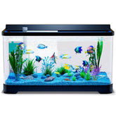 Tuhaoking LED Aquarium Tank Kit tank setup shows an easy beginner habitat