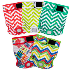 Tuiskusa adjustable straps keep female dog diapers secure without irritation.