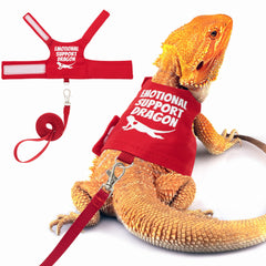 TUKOAW bearded dragon harness front view shows secure fit for outdoor walks.