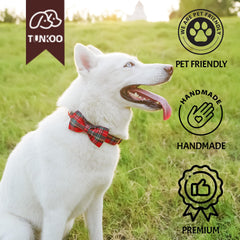 Tunkoo adjustable collar shows small to large sizing for varied breeds.