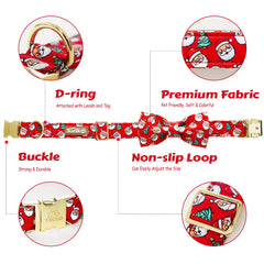 Tunkoo adjustable-strap dog collar showing customizable neck fit and comfort.