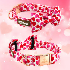 Tunkoo three-layer fabric collar feels soft yet durable for active dogs.