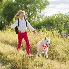 Tunkoo fall leaf pattern dog collar adds seasonal charm for memorable autumn outings.