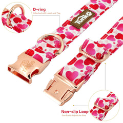 Rose gold buckle closeup on Tunkoo collar showing secure, elegant fastening