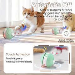 TVM Interactive Cat Toy Ball top view shows USB charging for easy recharges.