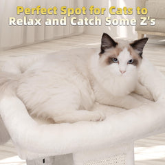 TWDEPART cat tree spring balls stimulate hunting instincts and chasing fun.