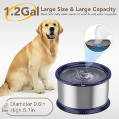 Twinsing blue stainless-steel dog bowl offers durable, easy-to-clean design.