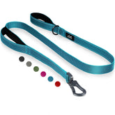 TwoEar 6FT blue dog leash with padded handles for comfortable walks