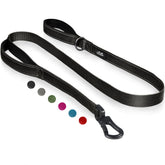 TwoEar 6FT leash with traffic handle provides close-range control during walks.