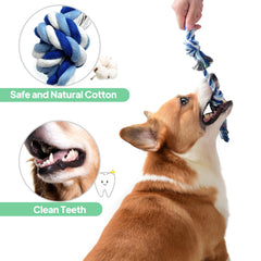 TwoEar dog rope toy 4-pack teething — soothing teething relief and safe gnawing.