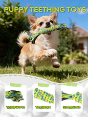 TwoEar dog rope toy 9-pack different-thicknesses showcases varied grip for every dog.