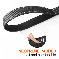 TwoEar reflective leash ensures night visibility for safer evening walks.
