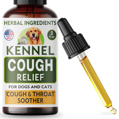 TwoFurFinds dropper applying drops to dog mouth for easy administration.