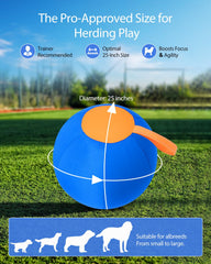 Tychesy Herding Ball inside inflatable shows sturdy core for powerful canine fun.