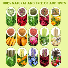 Tyotrbs natural materials set visual focus: herbs and fruits for safe tasting enrichment