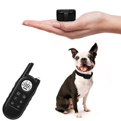 UbaNinva tiniest dog collar on a small dog's neck for comfortable training