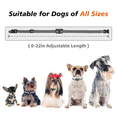 UbaNinva waterproof IPX7 collar image communicates rain-ready durability.