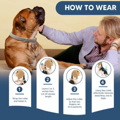UDyoude flea collar pack 2 highlighting convenient two-pack for ongoing prevention.