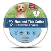 UDyoude flea collar close-up on small dog shows secure buckle and fit