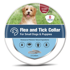UDyoude flea collar close-up on small dog shows secure buckle and fit
