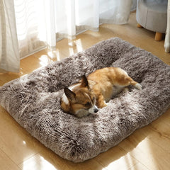 ULIGOTA dog bed anti-slip dots keep it steady during play.