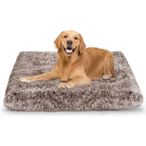 ULIGOTA dog bed with plush top delivers cozy comfort for pets.