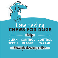Ultra Chewy Double Treat Bones two-layer chew close-up showing durable texture for dogs.