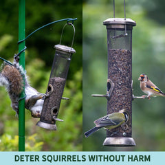 Close-up of hot pepper coating on seed highlights mammal deterrence without harming birds.
