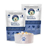 Under the Weather Bland Diet dog bowl ready for quick hydration.
