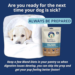 Under the Weather bland diet rehydration water—quick hydration after vomiting.